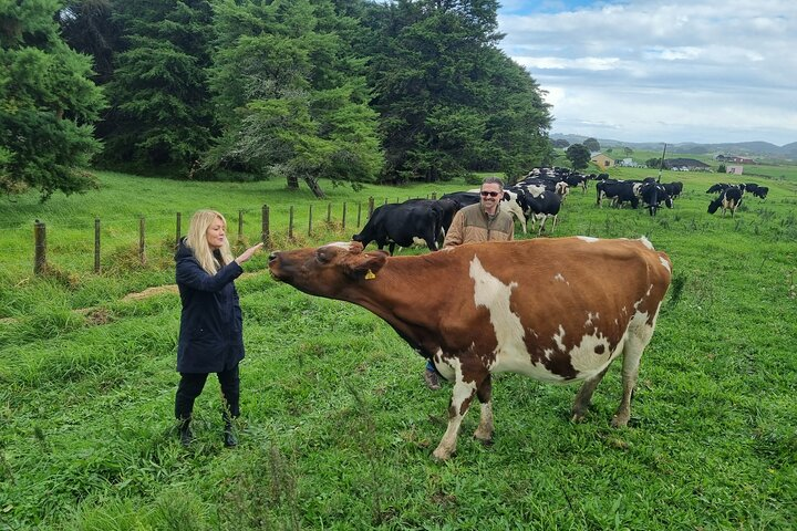 Auckland: Sheep & Beef Working Farm Private Tour - Photo 1 of 15